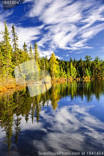 Image of Forest and sky reflecting in lake