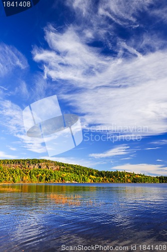 Image of Fall forest and lake