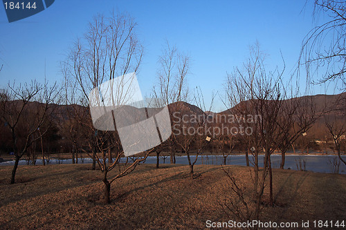 Image of Winter Scene