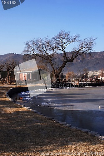 Image of Winter Landscape