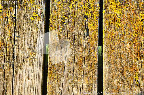 Image of Background of mossy wooden bridge board closeup 