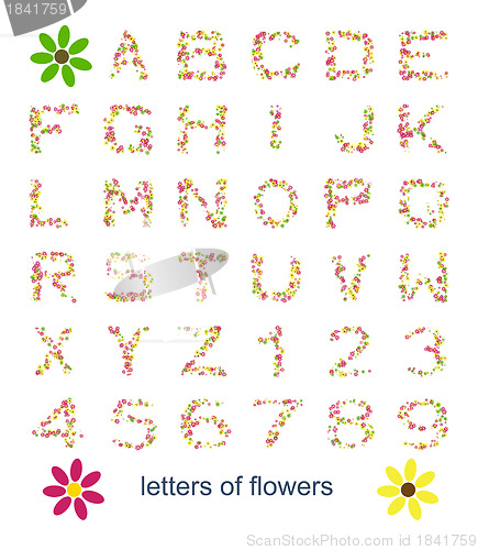 Image of letters of flowers