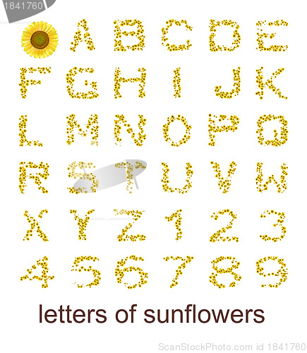 Image of letters of sunflowers