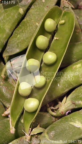 Image of Fresh peas