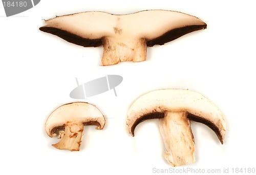 Image of Mushroom slices