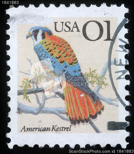 Image of Stamp printed in the USA shows American Kestrel