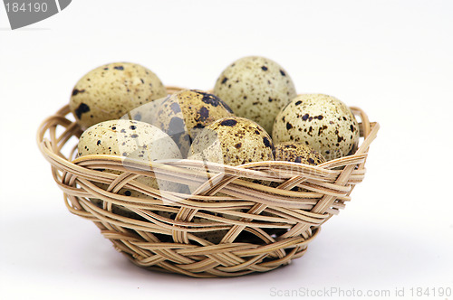 Image of Eggs in basket