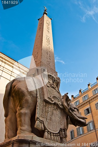 Image of Berninis elephant