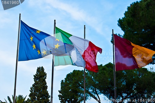 Image of Flags