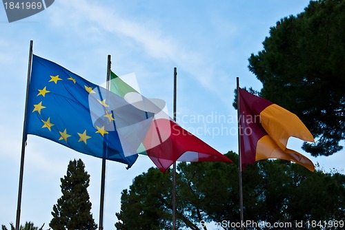 Image of Flags