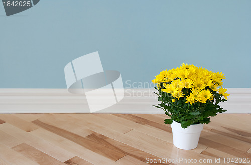 Image of Yellow daisies decorating a room