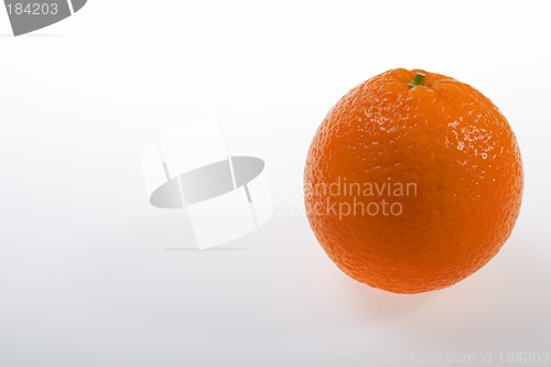 Image of Fruit, Orange