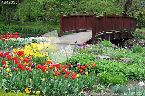 Image of Flowers in park