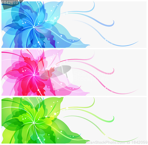 Image of Triple EPS10 colorful flower background