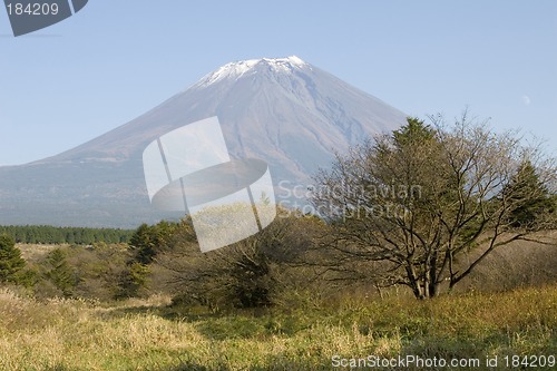 Image of Mount Fuji in Fall IV