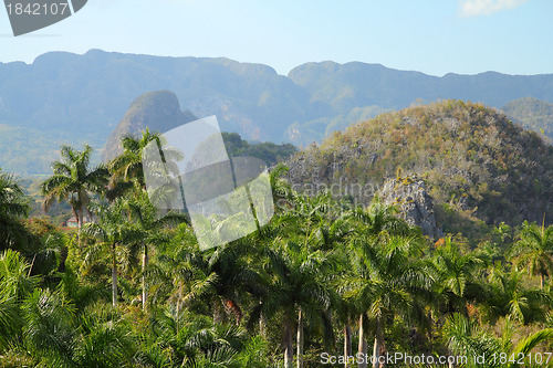 Image of Cuba - Vinales National Park