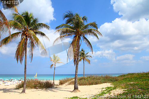 Image of Cuba