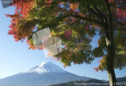 Image of Mount Fuji in Fall V