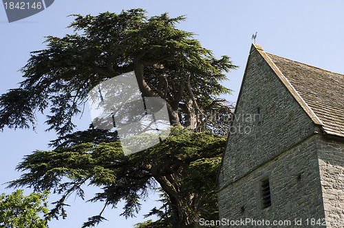 Image of Church Tower with saddleback, slate tiled roof next to enourmous