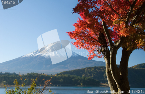 Image of Mount Fuji in Fall VII