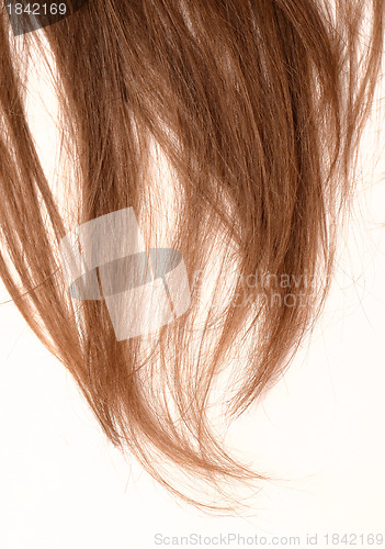 Image of woman hair