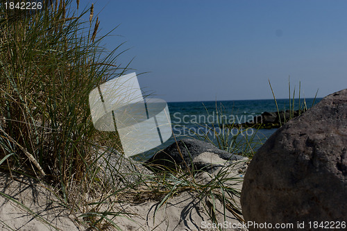 Image of Beach Path