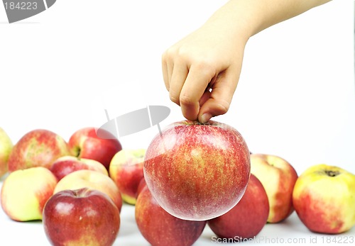 Image of Apple on palm