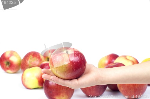 Image of Apple on palm
