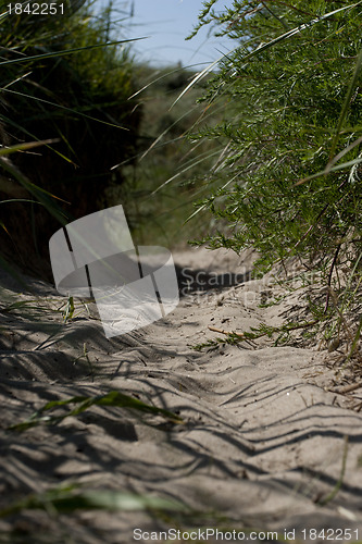 Image of Beach Path