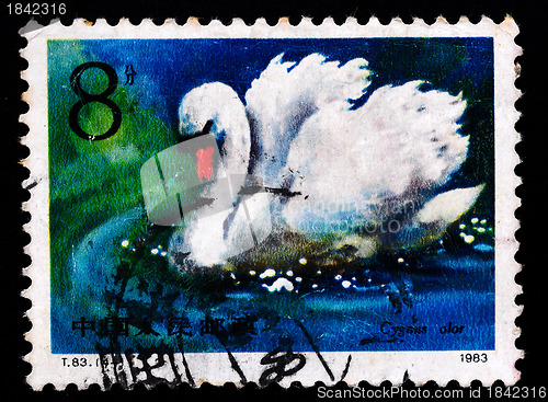 Image of A Stamp printed in China shows swan