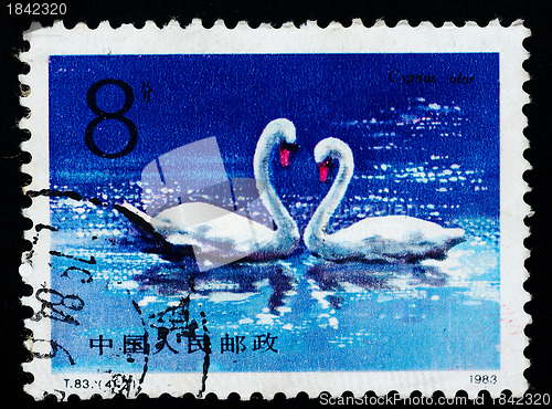 Image of A Stamp printed in China shows swan, 1983