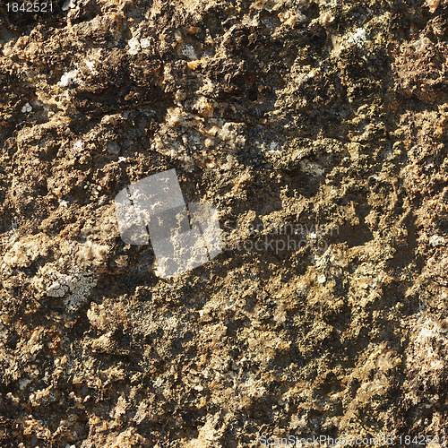 Image of Stone seamless natural texture