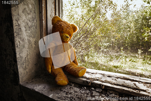 Image of Old toy bear abandoned in the ruins.