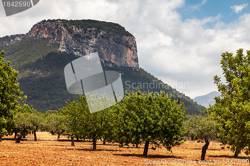 Image of Puig d'Alaro