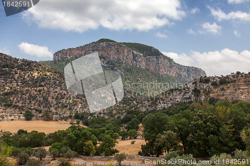 Image of Puig de sâ€™Alcadena