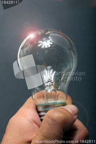 Image of plain light bulb in human hand