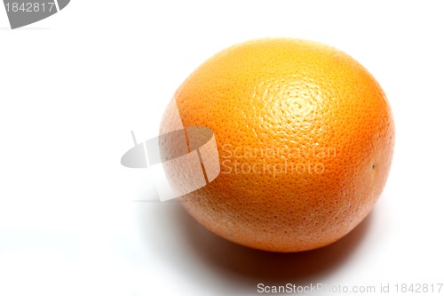 Image of no caption