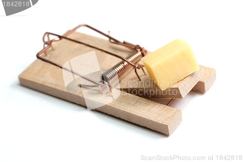 Image of mouse trap with cheese