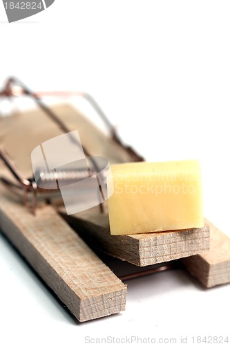 Image of mouse trap with cheese