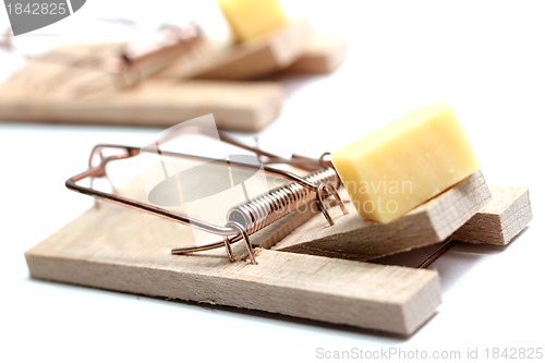 Image of mouse trap with cheese