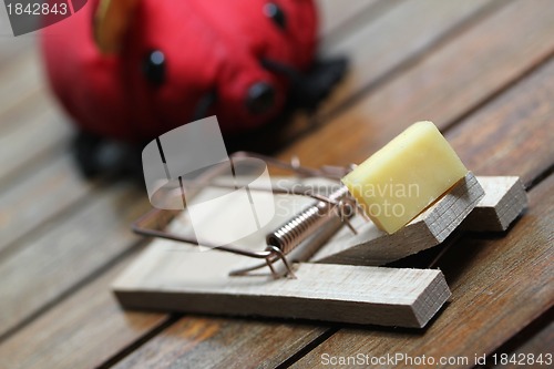 Image of mouse trap with cheese and a red plastic mouse