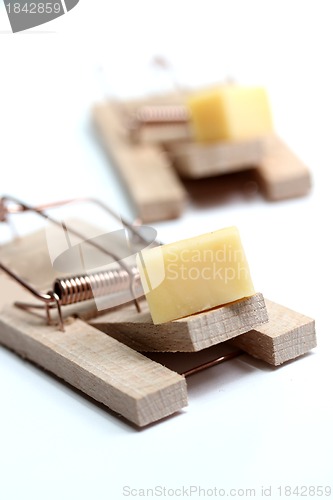 Image of mouse trap with cheese