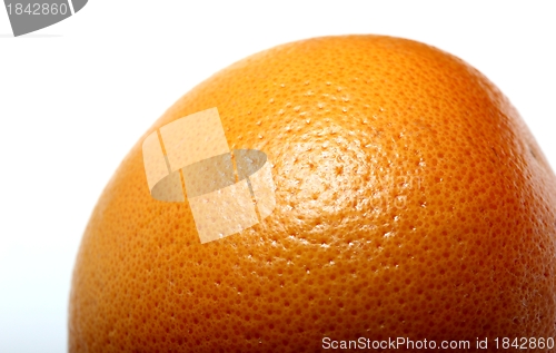 Image of fresh isolated grapefruit 