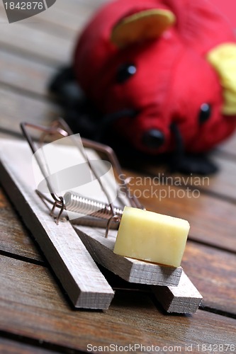 Image of mouse trap with cheese and a red plastic mouse