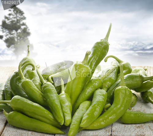 Image of Green Pepper