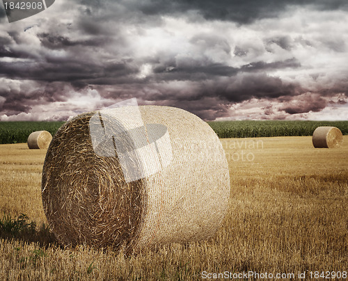 Image of Straw Bales On A Field