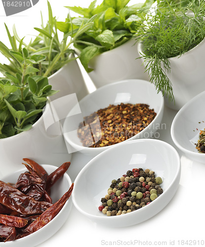 Image of Herbs And Spices