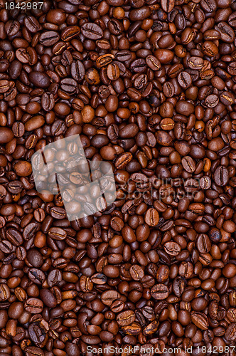 Image of Coffee beans