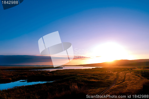 Image of Summer landscape