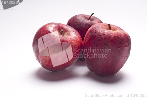 Image of Apple